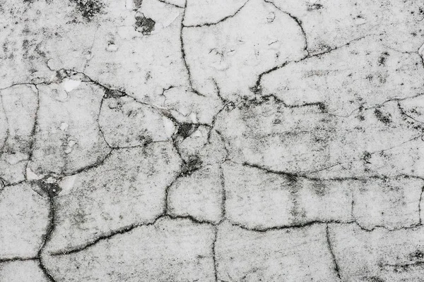 White cracks in old plaster walls With black moss on the ground — Stock Photo, Image