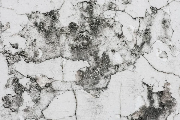 Rachaduras brancas em velhas paredes de gesso Com musgo preto no chão — Fotografia de Stock