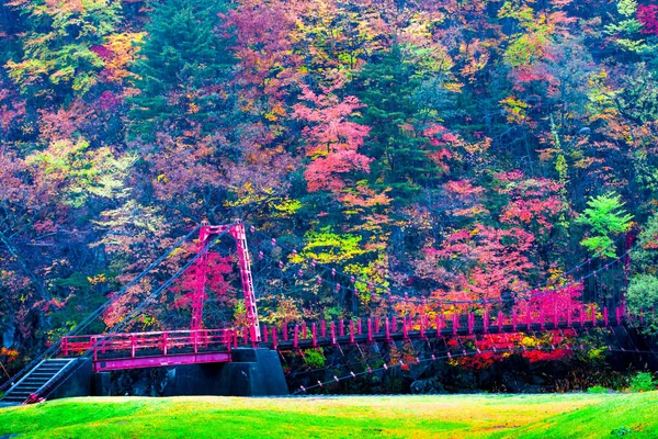 Red Steel Bridge Collection Beautiful Colorful Autumn Leaves Green Yellow — Stock Photo, Image