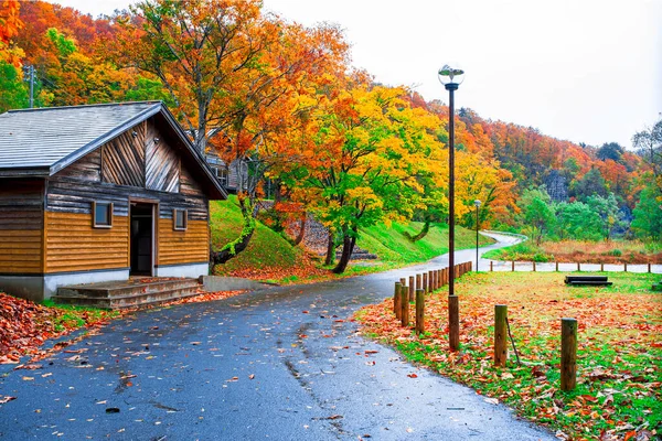 Camino Entrada Con Prado Verde Colección Hermosas Hojas Otoño Colores — Foto de Stock