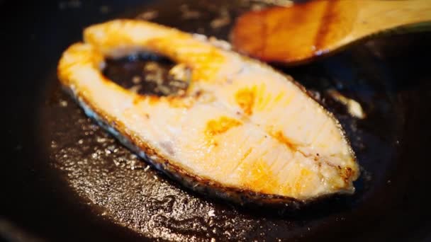 Grilled Salmon Frying Pan — Stock Video