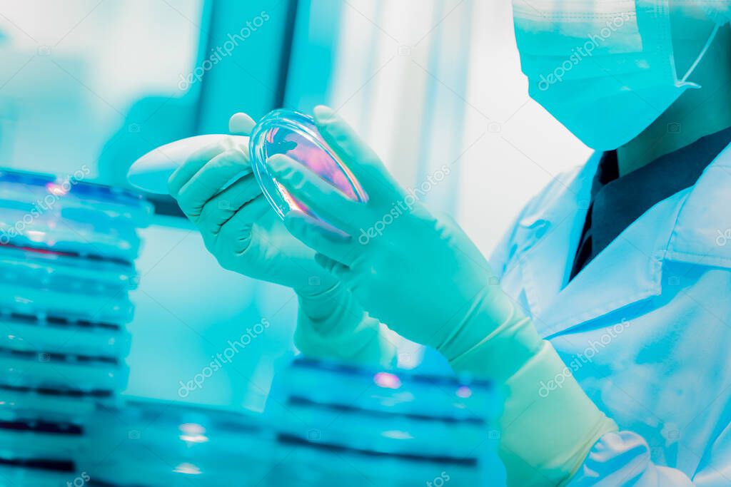 Coronavirus/Covid-19,Outbreak Respiratory virus epidemic in China, many scientists are researching bacteria in jelly plate,research for vaccine production.