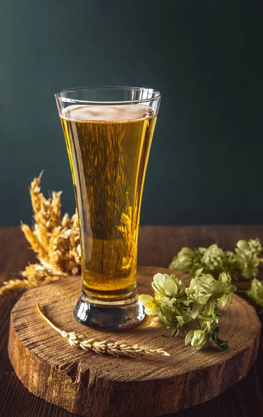 A glass of beer on a dark background on a wooden table. Ingredients for the production of beer wheat and hops.
