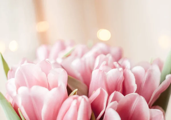 Σύνθεση Από Ροζ Λουλούδια Της Τουλίπες Φόντο Bokeh — Φωτογραφία Αρχείου