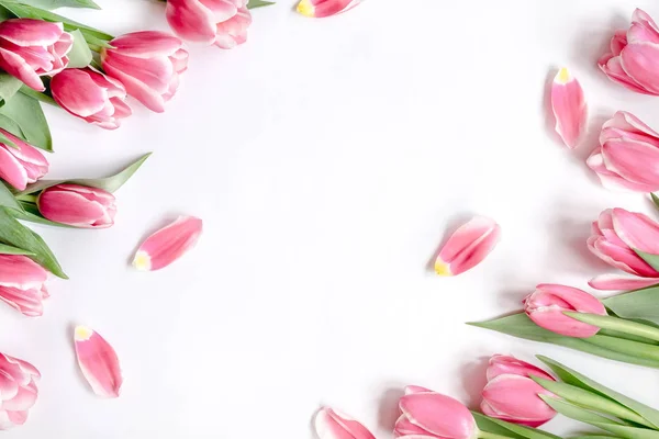 Composition Flowers Frame Made Pink Tulips Flowers White Background — Stock Photo, Image