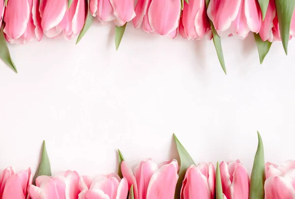 Composição Das Flores Quadro Feito Flores Tulipas Rosa Fundo Branco — Fotografia de Stock