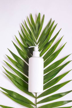 Yaratıcı minimalist kozmetik ambalaj plastik palmiye yaprakları ile alay. Marka ve etiket için maket.