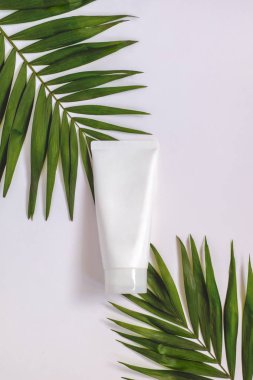 Yaratıcı minimalist kozmetik ambalaj plastik palmiye yaprakları ile alay. Marka ve etiket için maket.