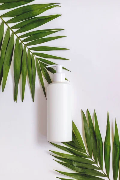 Kreatív minimalista kozmetikai csomagolás műanyag gúnyolódni fel pálmalevél. Modell a márkajelzés és a címke számára. — Stock Fotó