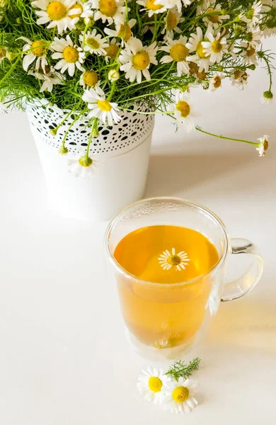 Herbata ziołowa ze świeżych kwiatów rumianku na jasnym tle — Zdjęcie stockowe