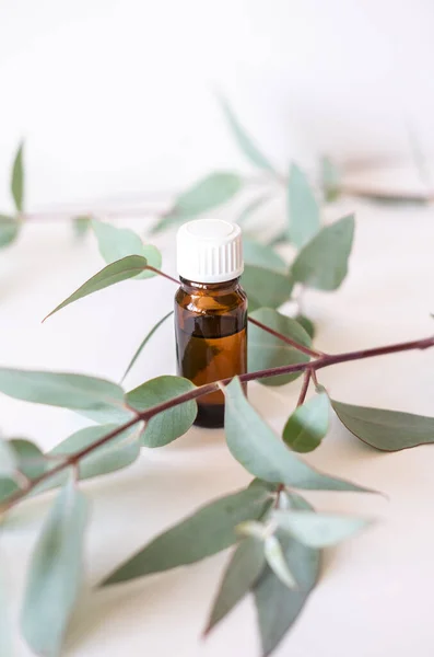 Eine Flasche ätherisches Eukalyptusöl auf leicht minimalistischem Hintergrund. Zweig Eukalyptus — Stockfoto