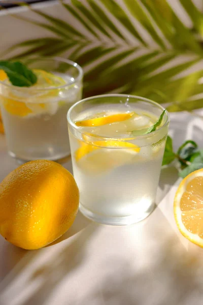 Agua Limón Con Limones Frescos Plantas Verdes —  Fotos de Stock