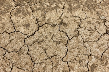 Kuru arazi kahverengi arka plan