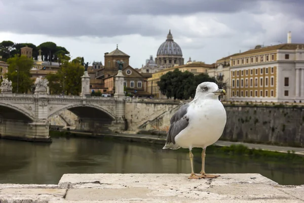 Ponte Vittorio Emanuele View Bridge Tiber — Stock Photo, Image