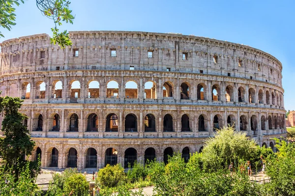 Coliseu em vegetação, vista de verão, sem pessoas, Roma, Itália — Fotografia de Stock