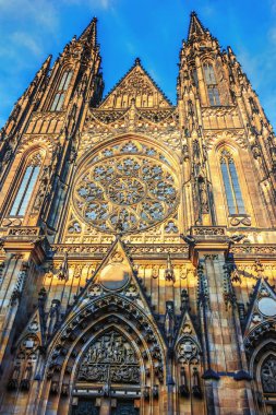 St Vitus Cathedral dış, Prag, Çek Cumhuriyeti
