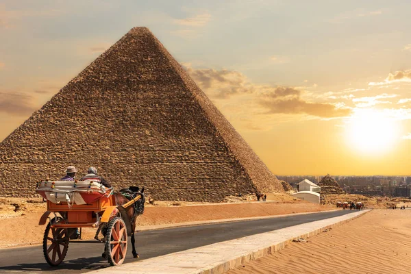 A carriage in Giza near the Pyramid of Cheops, Egypt