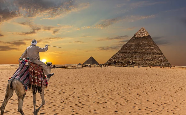 Um beduíno em um camelo na frente das Grandes Pirâmides de Gizé — Fotografia de Stock