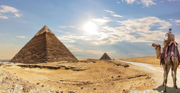 La Piramide di Ghafre e un beduino su un cammello, Giza, Egitto — Foto Stock