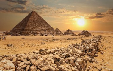 Menkaure Piramidi ve üç piramit yoldaşı çöldeki develer, Giza, Mısır