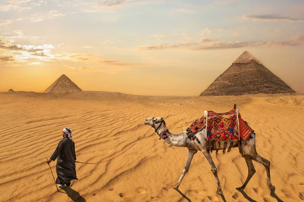 Een bedoeïenen met een kameel voor de piramide van Chefren en de — Stockfoto