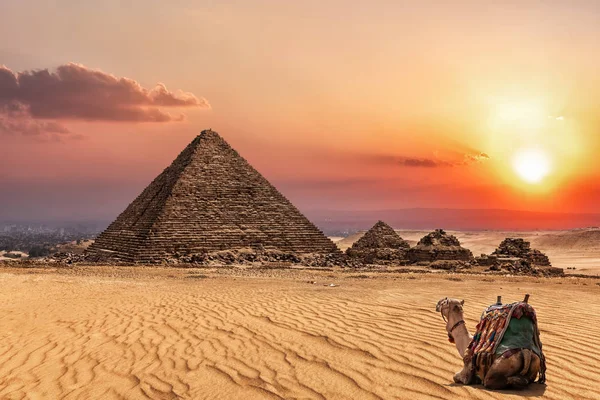 A pirâmide de Menkaure ao pôr-do-sol e um camelo nas proximidades, Giza, chalupe — Fotografia de Stock