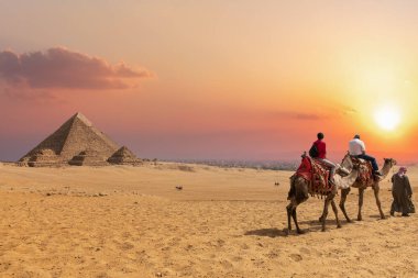 Giza piramit kompleksi ve deve araplar, Mısır