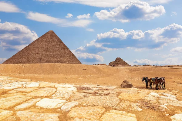 De piramide van Menkaure complex en paarden in de buurt, Giza, Egypte — Stockfoto