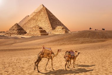 The Pyramids and camels in the Giza desert, Egypt clipart