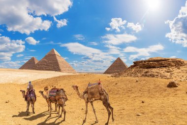 Giza çölünde bir bedevi ile Piramitler ve develer, Mısır