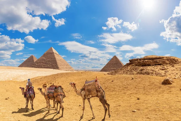 As pirâmides e camelos com um beduíno no deserto de Gizé, Egito — Fotografia de Stock