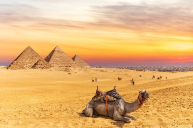 Giza Piramitleri ve bir deve, Mısır yakınında gün batımı renkleri