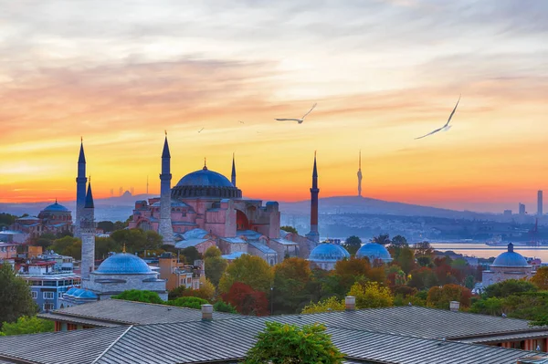 Santa Sofía y el lado asiático de Estambul en el fondo, vista del atardecer — Foto de Stock