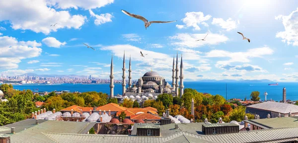 Sultán Ahmet nebo Modrá mešita a Bosphorus Rovně v pozadí, Istanbul panorama — Stock fotografie