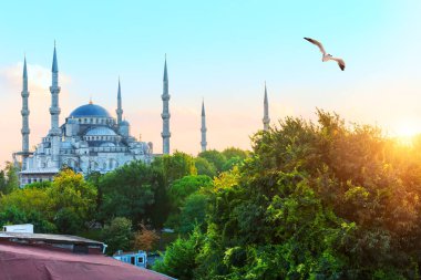 İstanbul 'daki Mavi Cami, yan manzara