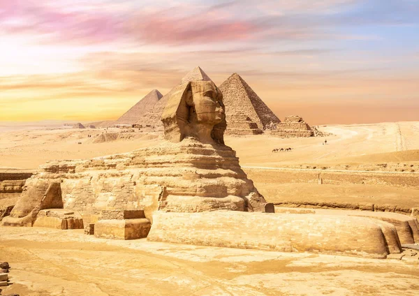 Esfinge hermosa en frente de las pirámides de Giza, Egipto — Foto de Stock