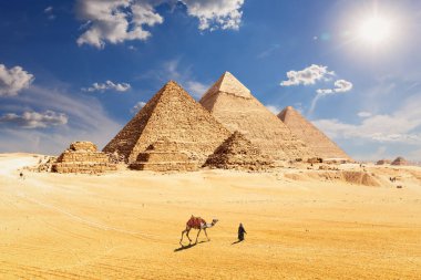 Mısır 'ın ünlü piramitleri ve Kahire' nin Giza şehrinde bir develi bedevi.