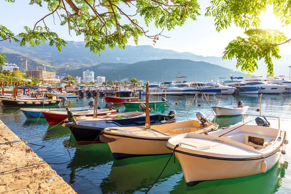 Budva Montenegro Vista Los Barcos Dukley Marina — Foto de Stock
