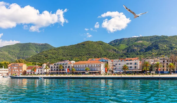 Uitzicht Kust Bij Kotor Adritaïsche Zee Montenegro — Stockfoto