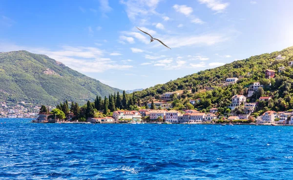 Litoral Mar Adriático Baía Kotor Montenegro — Fotografia de Stock