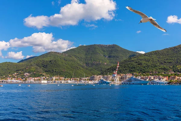 Iates Costa Mar Adriático Zona Kotor Montenegro — Fotografia de Stock