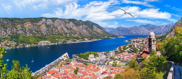 Panorama Zatoki Kotorskiej i miasta z twierdzy Kotor, Czarnogóra — Zdjęcie stockowe