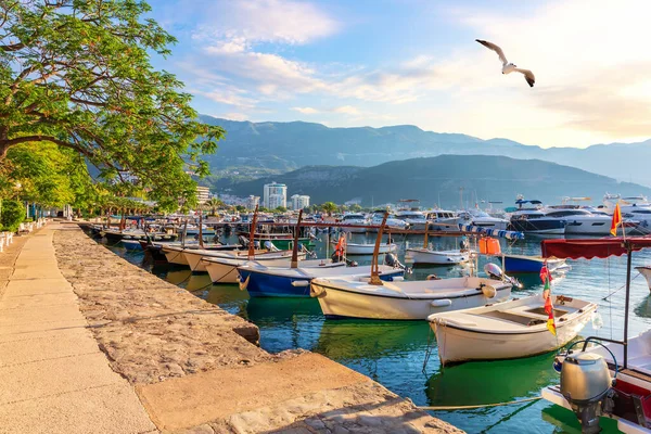 Budva marina com barcos, bela vista para o porto, Montenegro — Fotografia de Stock