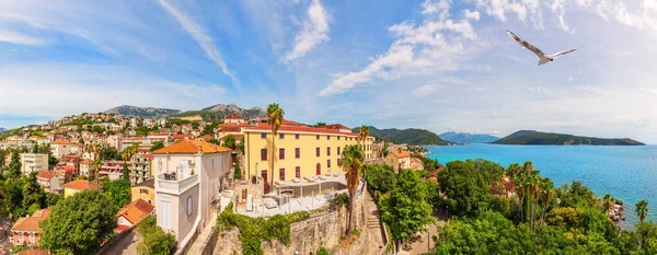 Herceg Novi Wspaniała Panorama Lotnicza Czarnogóra — Zdjęcie stockowe