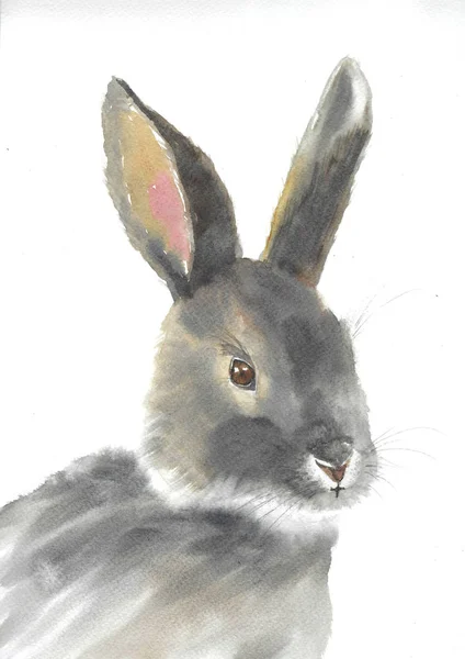 Conejo Liebre Animal Del Bosque Acuarela Pintado Mano Aislado Sobre —  Fotos de Stock