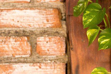 Kırmızı tuğla ve yeşil yaprakları ile ahşap duvar