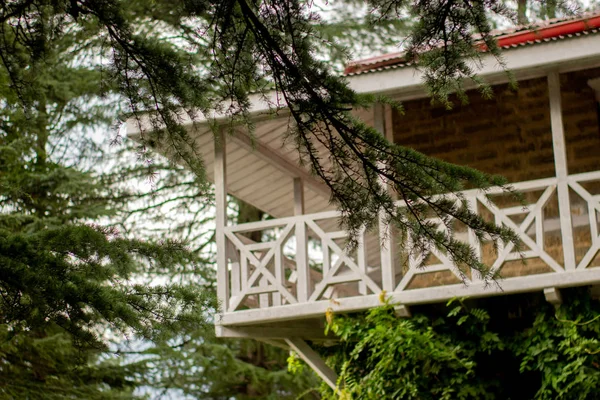 Hidden in a forest house with balcony.