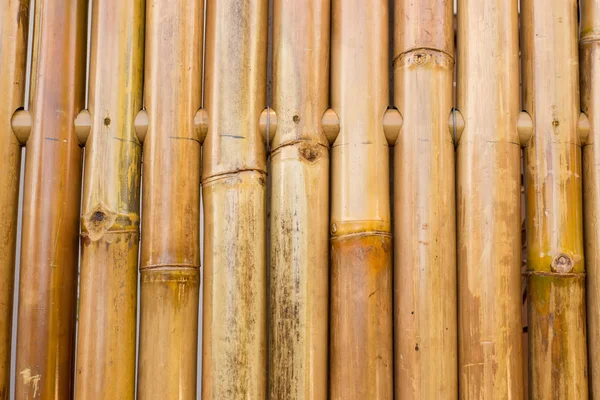 Cerca de textura de bambú soleado marrón para el fondo . —  Fotos de Stock