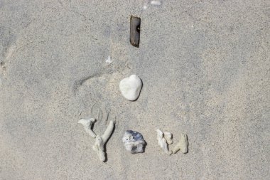 Seni mercan, kabuk ve sopa ruh arkadaşı için sevgi bir mesaj olarak kum yazılmış seviyorum