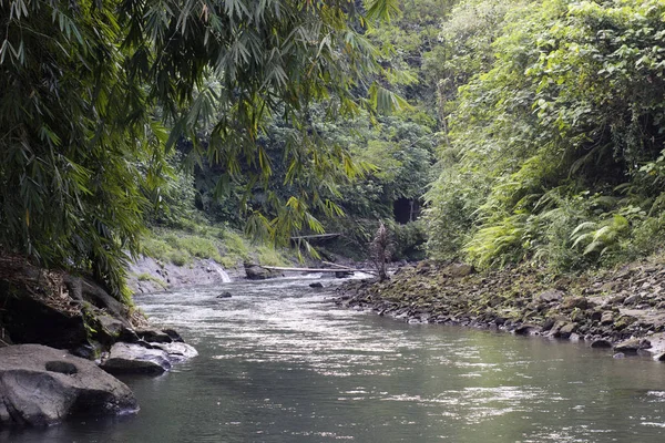 Hermoso río en un bosque tropical en un pueblo . — Foto de Stock